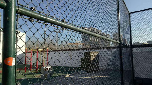 整車拓日護欄網(wǎng) 安平縣拓日絲網(wǎng)制品的防護網(wǎng)解決方案