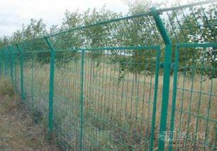 筑牢無(wú)形之盾 防護(hù)網(wǎng)的多元應(yīng)用與深遠(yuǎn)意義