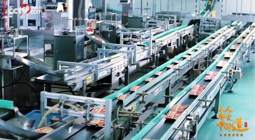 官方榮譽再添華章，洽洽入選新華社民族品牌工程網絡工程